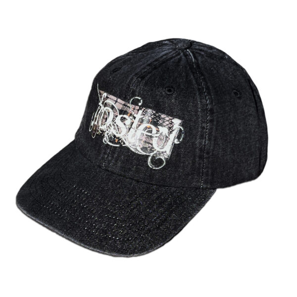 Frosted - Vine logo - CAP - Grey - Image 2